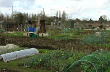 Romsey Town Council Allotments